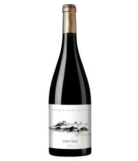 Pinot Noir – IGP Haute Vallée