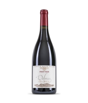 Pinot Noir – IGP Haute Vallée
